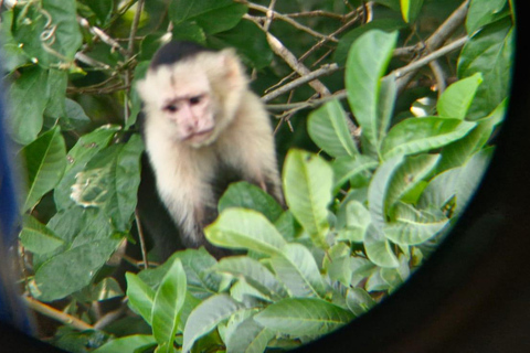 Rio Celeste Waterfall: Rain Forest Hike & Sloth Observation Waterfall-Lunch-Sloth Observation:SelfDrive to Meeting Point