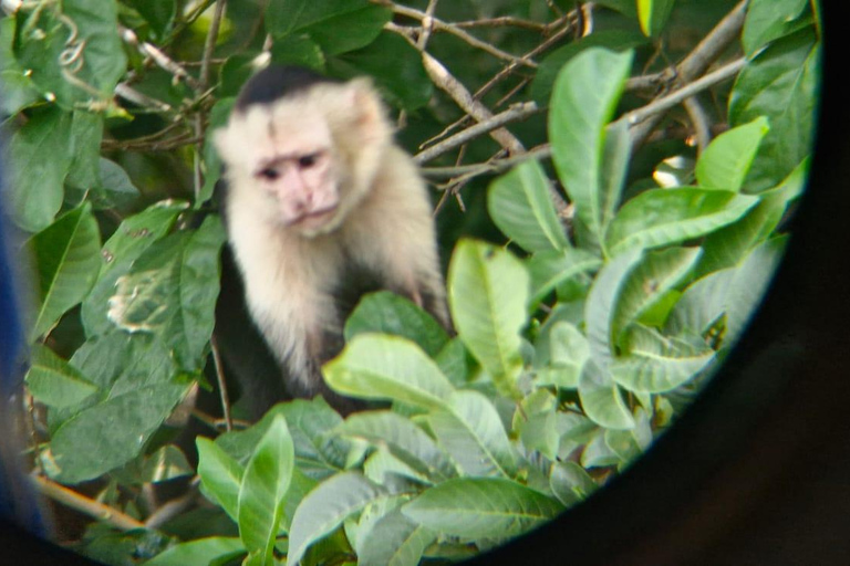 Rio Celeste Waterfall: Rain Forest Hike & Sloth Observation Waterfall-Lunch-Sloth Observation:SelfDrive to Meeting Point