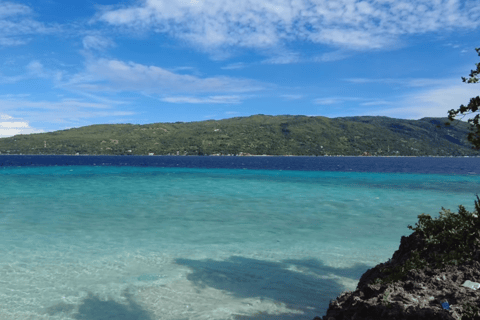 Oslob: Whale Sharks, Tumalog Falls & Sumilon Trio Adventure