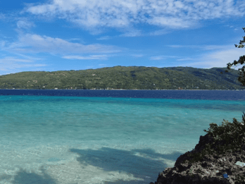 Cebu: Whale Shark Watching, Tumalog Falls & Sumilon Island