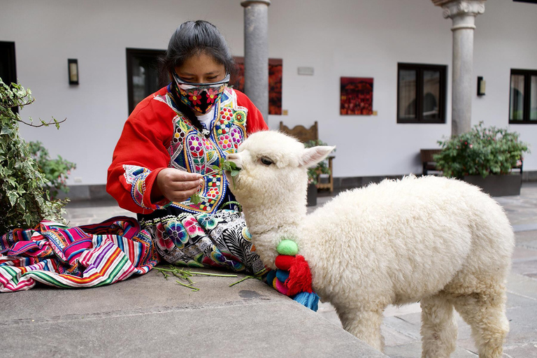 Alpaga thérapie et créativité artisanale