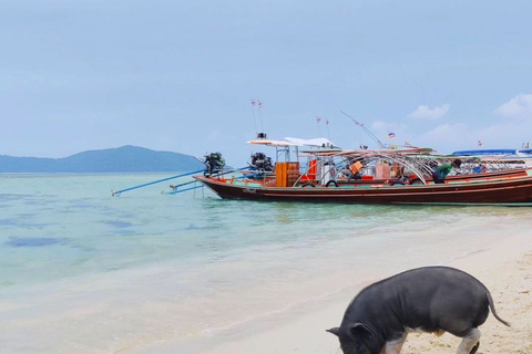 Koh Samui: Privé Longtail Boot naar Varkenseiland met SnorkelKoh Samui: Privé Longtail Tour naar Varkenseiland met Snorkel