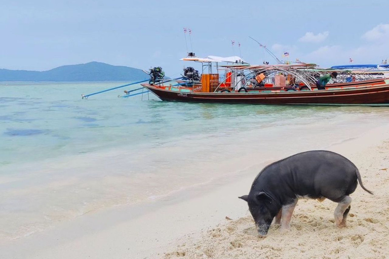 Koh Samui: Privé Longtail Boot naar Varkenseiland met SnorkelKoh Samui: Privé Longtail Tour naar Varkenseiland met Snorkel