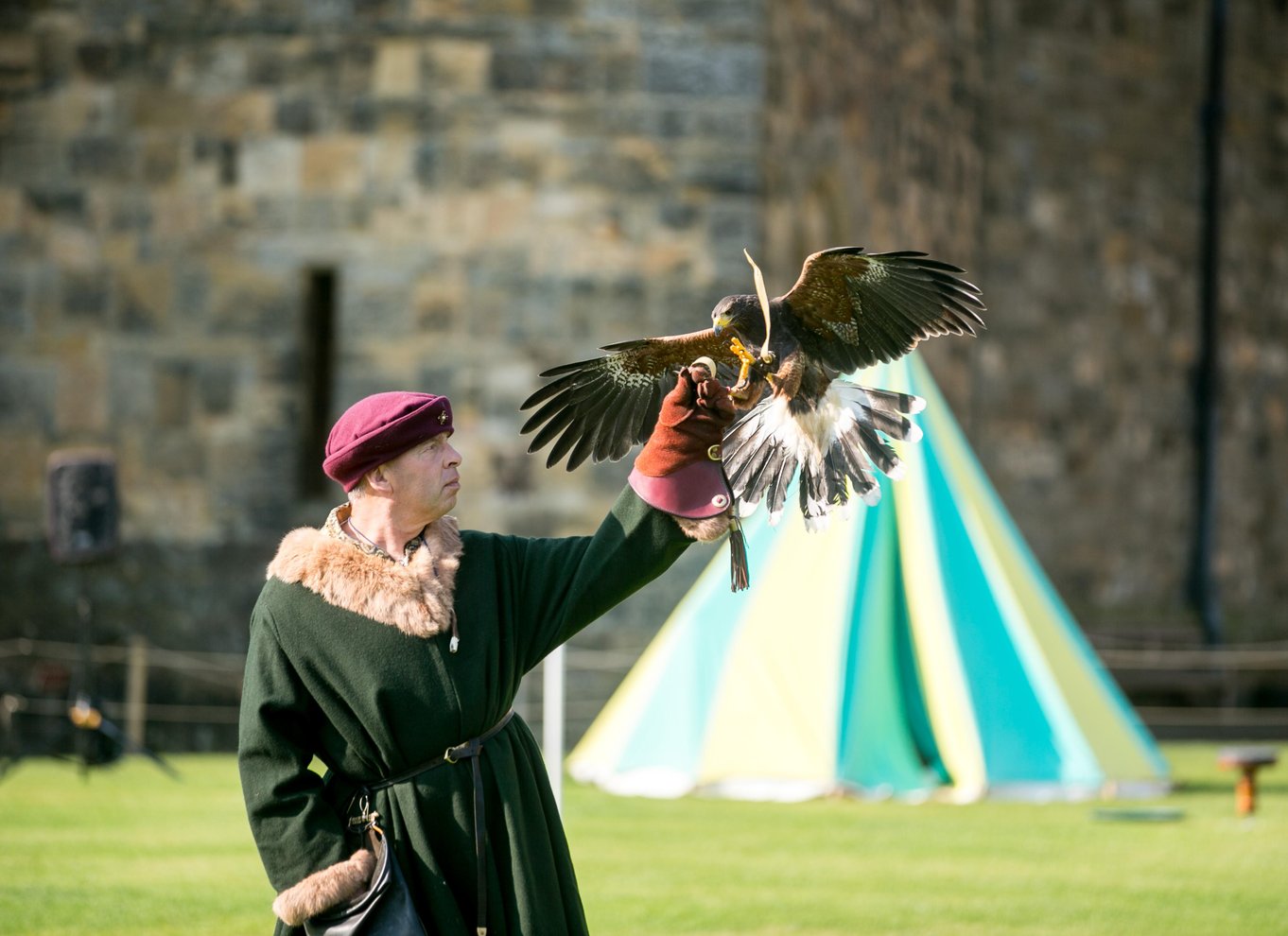 Alnwick: Billet til Alnwick Castle