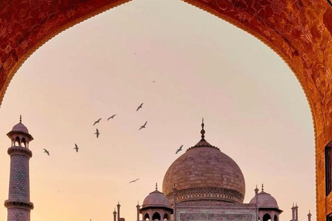 De Delhi : Visite de nuit du Taj Mahal et d'Agra - en voiture