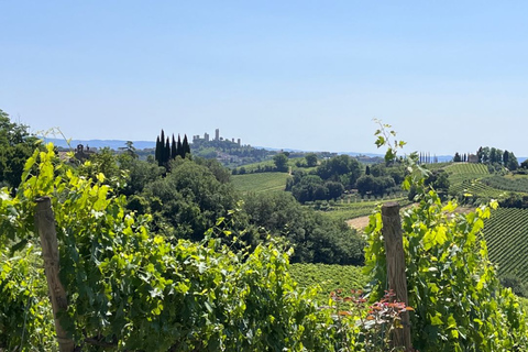 Vanuit Rome: Florence &amp; Toscane dagtour met de hogesnelheidstrein