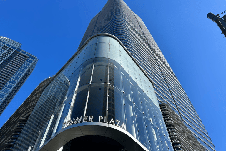 Tokyo: TeamLab Borderless & Roppongi Art Architecture Tour