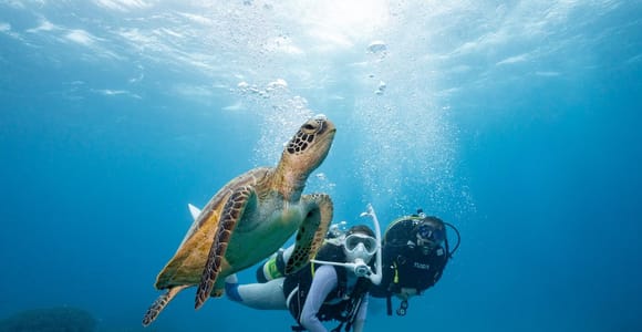 Zakynthos: Scuba Diving Experience with Underwater Photos