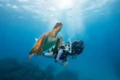 Zakynthos: Experiência de mergulho com fotografias subaquáticas