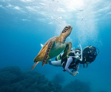 Zakynthos: Scuba Diving Experience with Underwater Photos