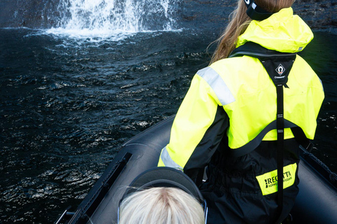 Bergen: Modalen RIB Fjord Safari with Lunch & Transfer