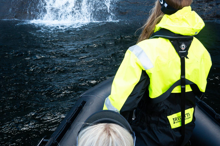 Bergen: Modalen RIB Fjord Safari with Lunch & Transfer