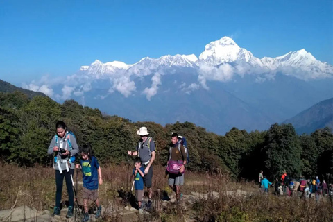 From Kathmandu : 5 Days Ghorepani Poonhill Guided TrekKathmandu : 5 Day Ghorepani Poonhill Trek