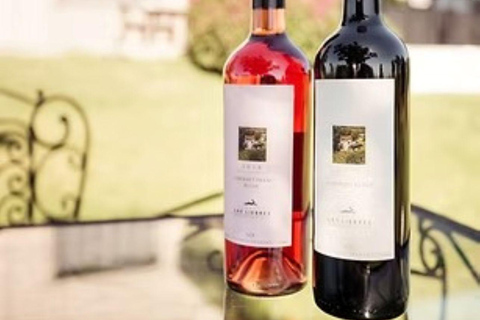 Colonia del Sacramento: Afternoon Tea at a Vineyard