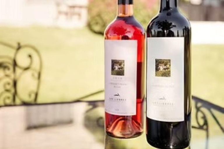 Colonia del Sacramento: Afternoon Tea at a Vineyard