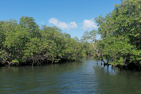EXCURSIE*** (GRAND-CUL-DE-SAC-MARIN voeten in het water)