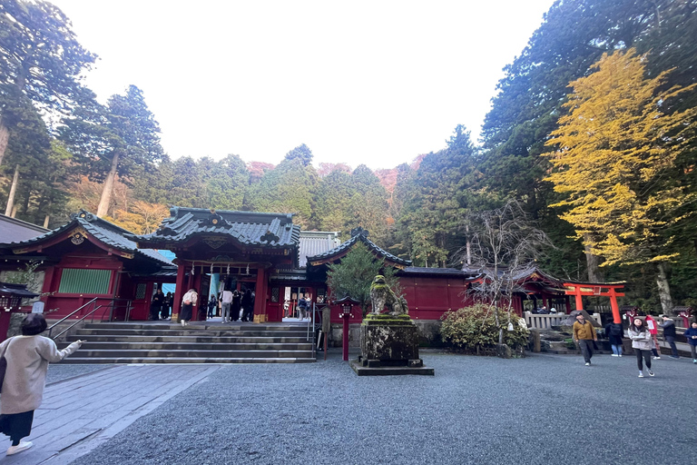 From Tokyo: Hakone Full Day Customizable Private Tour