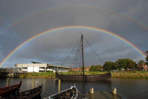 Roskilde Cathedral, Viking Museum and Forest tower tour