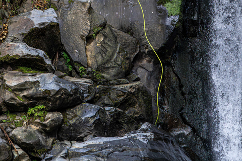 São Miguel: Level 2 Canyoning in Salto do Cabrito