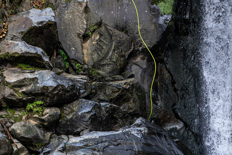 São Miguel: Level 2 Canyoning in Salto do Cabrito
