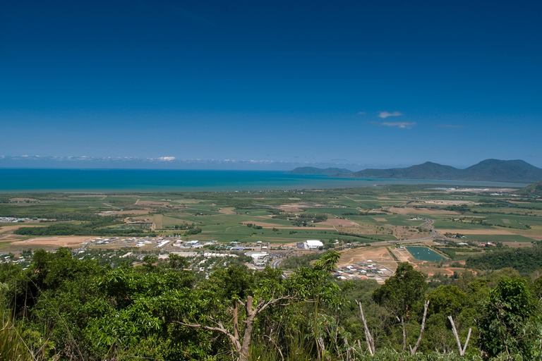 Cairns: Half-Day Premium 4WD Rainforest & Waterfall Tour Half Day Tour