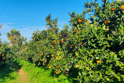 Gozo Ontsluierd: Wandeltocht met gids en boulderen