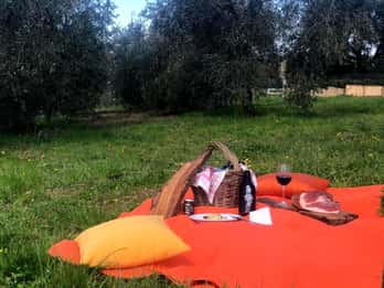 Maremma: almuerzo al aire libre con productos típicos.