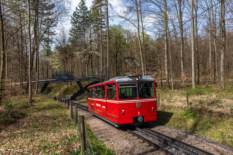 Aventura en transporte por Zúrich: Rueda dentada, Funicular y tour en barcoExcluyendo las subidas más largas