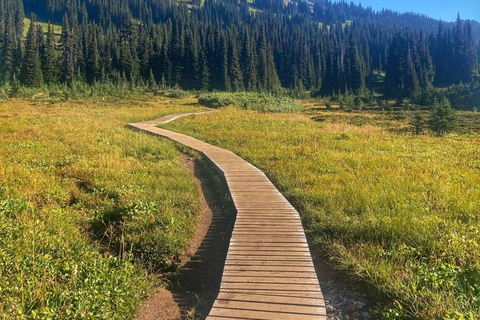 Garibaldi Park/ Panorama Ridge/ Dagsutflykt med vandring