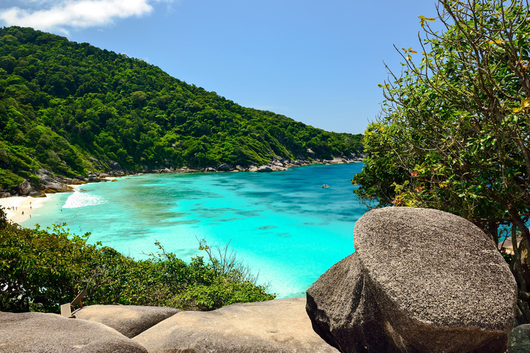 Depuis Khao Lak : Excursion d&#039;une journée aux îles Similan avec plongée en apnéeKhao Lak : Excursion d&#039;une journée aux îles Similan avec plongée en apnée le matin