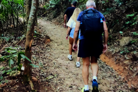 Rio de Janeiro: Tijuca Caves Guided Hike with Park Entry