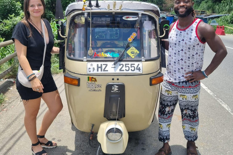 Kandy: Guided City Tour/Temple of the Tooth & Tea Factory
