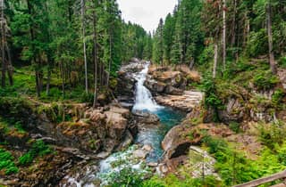 Von Seattle aus: Führung zum Mount Rainier National Park