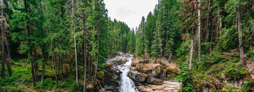 Da Seattle: tour guidato del Parco Nazionale del Monte Rainier