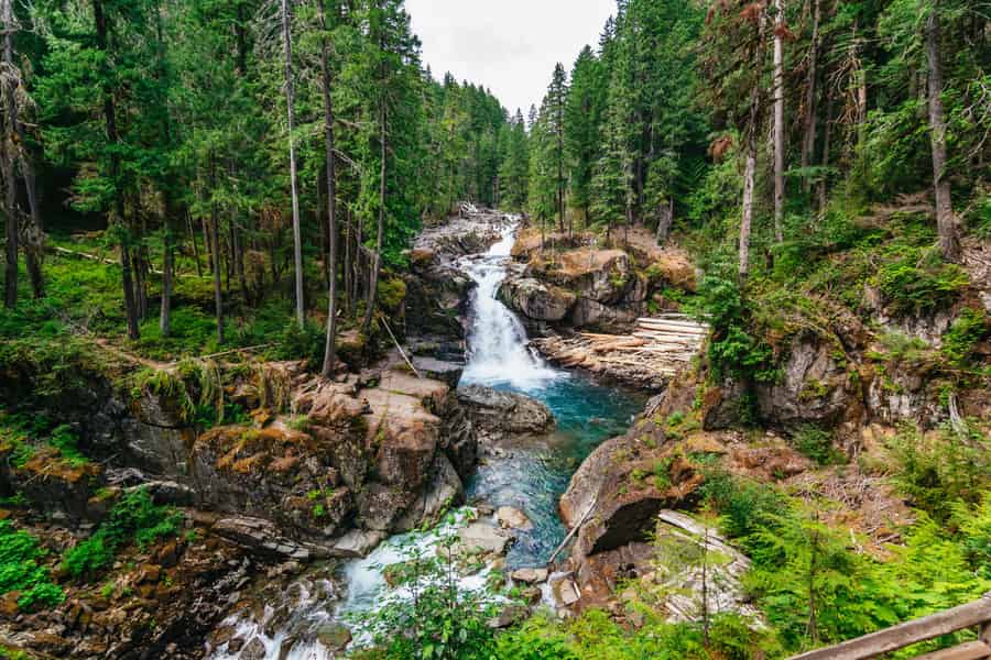 Von Seattle aus: Führung zum Mount Rainier National Park. Foto: GetYourGuide Von Seattle aus: Führung zum Mount Rainier National Park. Foto: GetYourGuide