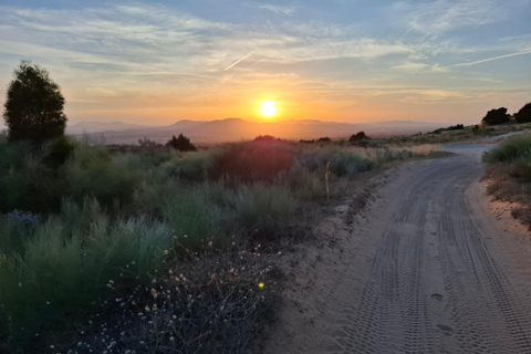Hammamet: Quad riding into the sunset of Tunisia - Daily at 6:00 PM