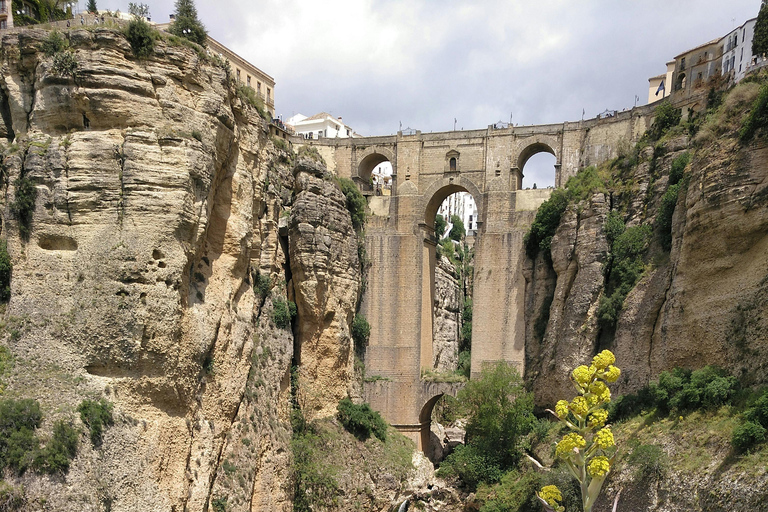 From Malaga & Costa del Sol: 5-Day Andalusia Adventure