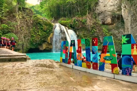 Cebú: avistamiento de tiburones ballena, cataratas Kawasan y snorkel