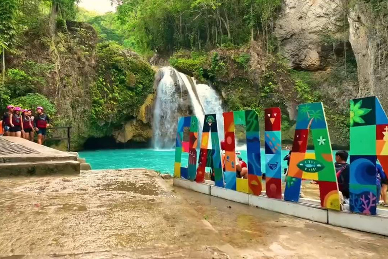 Cebu: Walvishaaien kijken, Kawasan watervallen en snorkelen