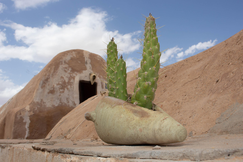 6 Días de Emociones: Aventura en Jeep al Corazón del Desierto