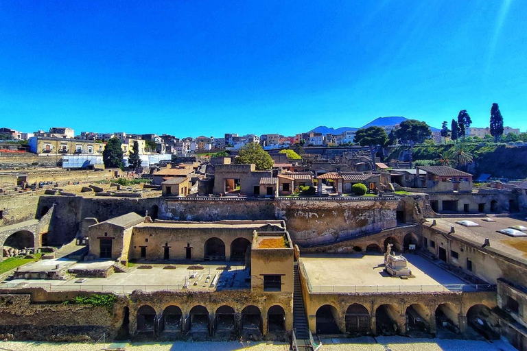 Herculaneum met een archeologische gids & ticket