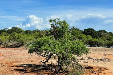 Yala: Expert Naturalist Safari, All-Inclusive & Dining Colombo, Katunayake, Negambo Area
