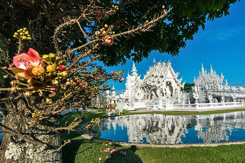 Från Chiang Mai : Vita och blå tempel och Lalita Cafe