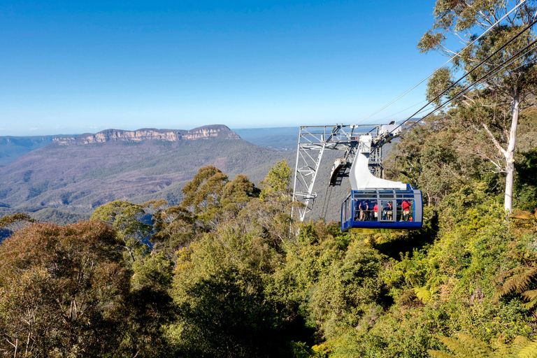 Blue Mountains: Mundo cênico, balsa, zoológico e foto de coala