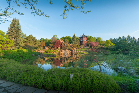 Montreal Botanical Garden & Insectarium Private Guided Tour 3-hour: Montreal Botanical Garden Tour & Transport