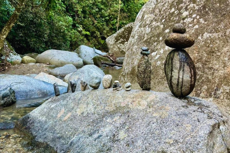 Minca Jungle Trek: Rivers, Tayrona Trails & Cacao Forest