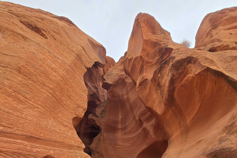 Las Vegas: Private 3 Day National Park Aerial Safari