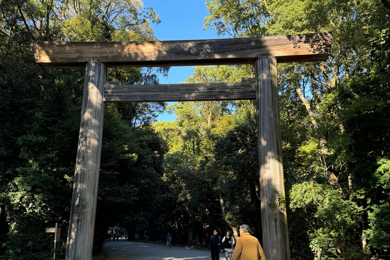 Nagoya: Private Day Tour to Toyota Museum, Castle &amp; Shrines
