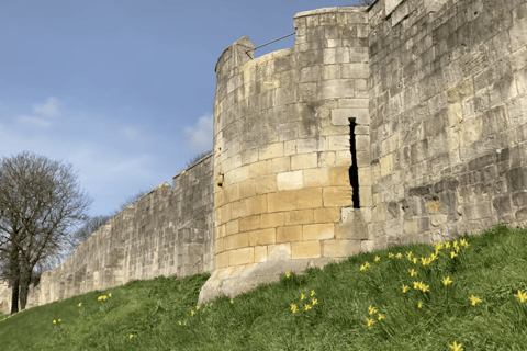 York Medieval: Complete Walking City Tour, In Spanish