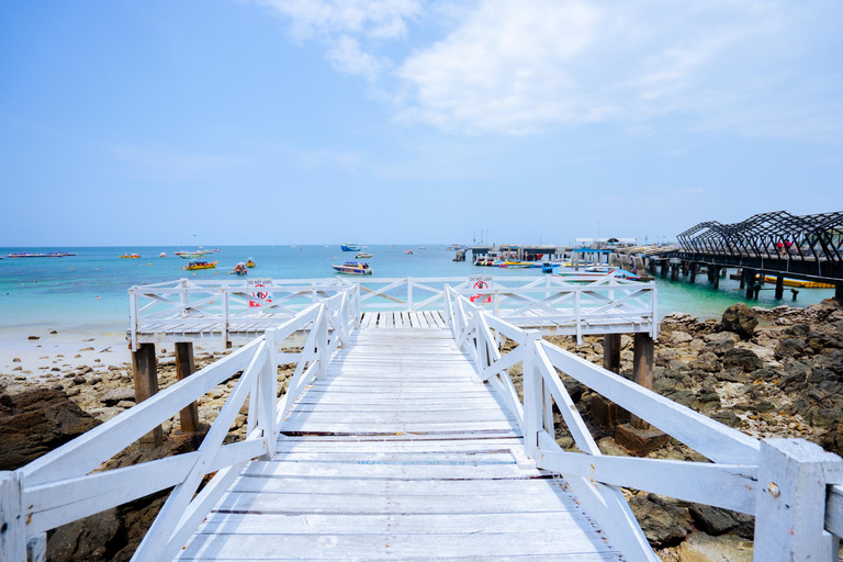Pattaya's India Coral Island Specialists Local Experts